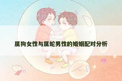 属狗女性与属蛇男性的婚姻配对分析