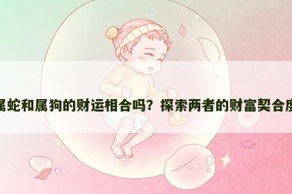 属蛇和属狗的财运相合吗？探索两者的财富契合度