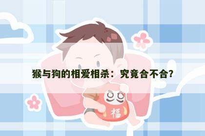 猴与狗的相爱相杀：究竟合不合？