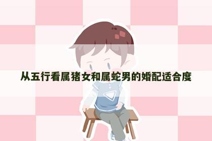 从五行看属猪女和属蛇男的婚配适合度