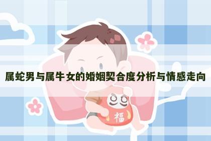 属蛇男与属牛女的婚姻契合度分析与情感走向