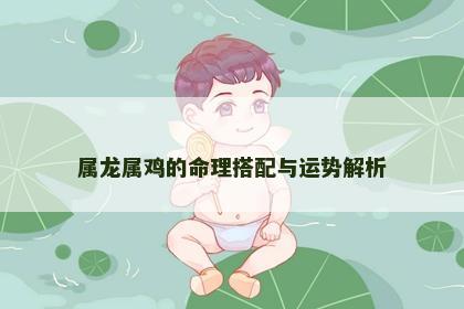 属龙属鸡的命理搭配与运势解析