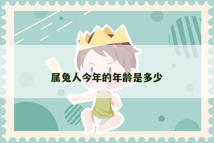属兔人今年的年龄是多少