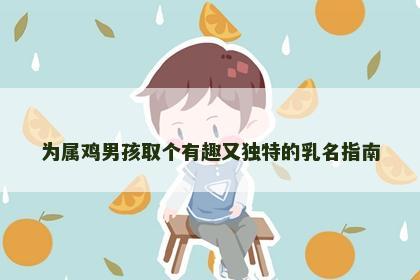 为属鸡男孩取个有趣又独特的乳名指南