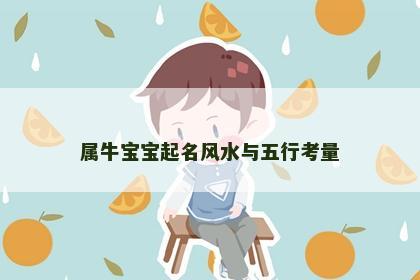 属牛宝宝起名风水与五行考量