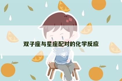 双子座与星座配对的化学反应