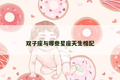 双子座与哪些星座天生相配