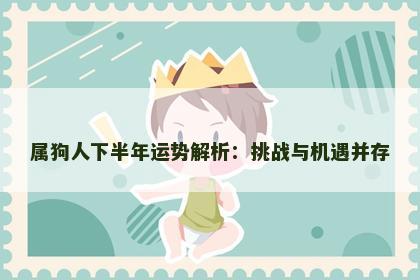 属狗人下半年运势解析：挑战与机遇并存