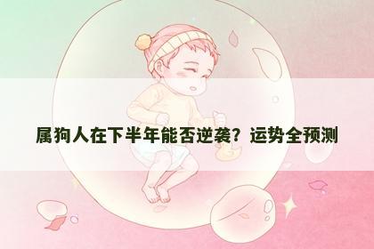 属狗人在下半年能否逆袭？运势全预测