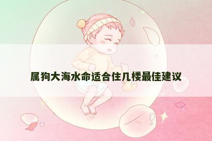 属狗大海水命适合住几楼最佳建议