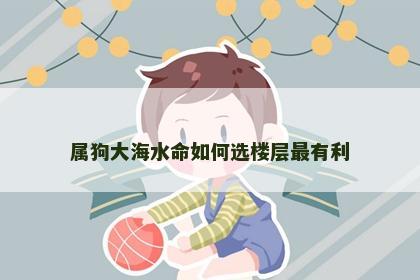 属狗大海水命如何选楼层最有利