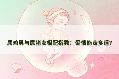属鸡男与属猪女相配指数：爱情能走多远？