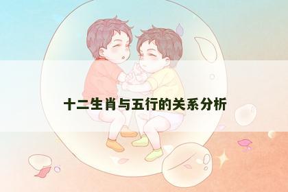十二生肖与五行的关系分析