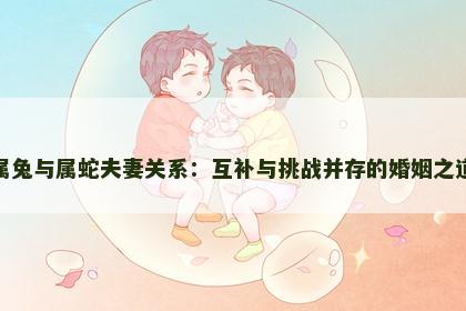 属兔与属蛇夫妻关系：互补与挑战并存的婚姻之道