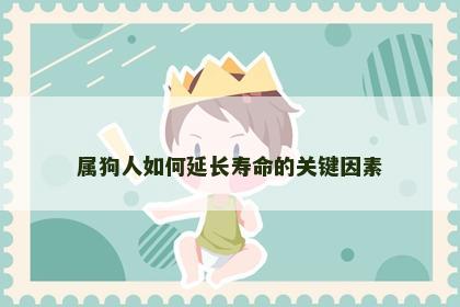 属狗人如何延长寿命的关键因素