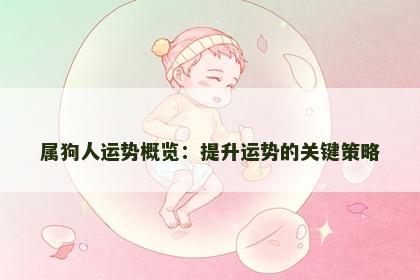 属狗人运势概览：提升运势的关键策略