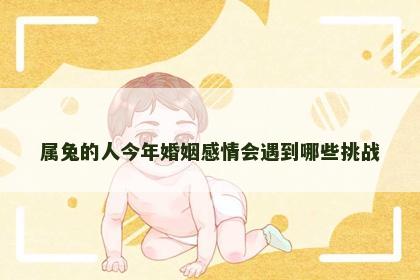 属兔的人今年婚姻感情会遇到哪些挑战