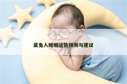 属兔人婚姻运势预测与建议