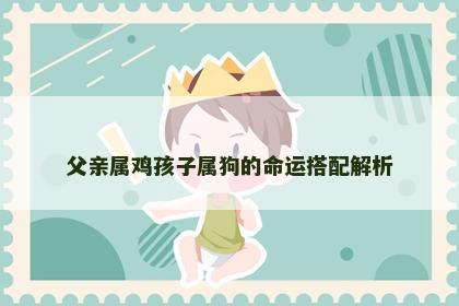 父亲属鸡孩子属狗的命运搭配解析