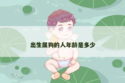 出生属狗的人年龄是多少