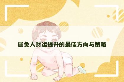 属兔人财运提升的最佳方向与策略