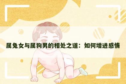 属兔女与属狗男的相处之道：如何增进感情