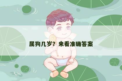 属狗几岁？来看准确答案