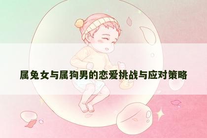 属兔女与属狗男的恋爱挑战与应对策略