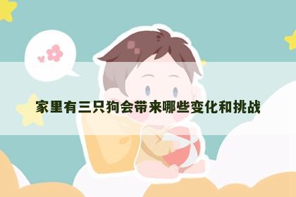 家里有三只狗会带来哪些变化和挑战