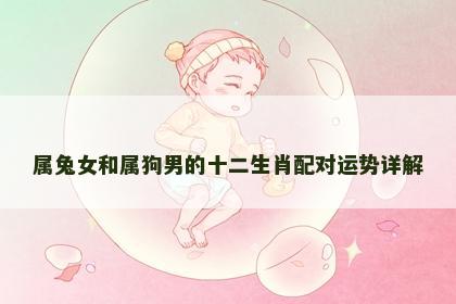属兔女和属狗男的十二生肖配对运势详解