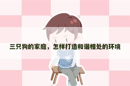 三只狗的家庭，怎样打造和谐相处的环境