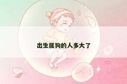 出生属狗的人多大了