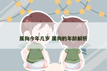 属狗今年几岁 属狗的年龄解析