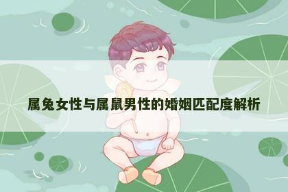 属兔女性与属鼠男性的婚姻匹配度解析