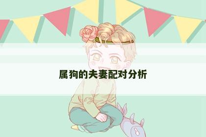 属狗的夫妻配对分析