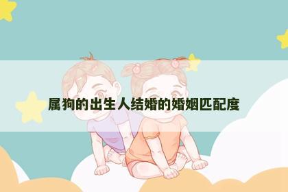 属狗的出生人结婚的婚姻匹配度
