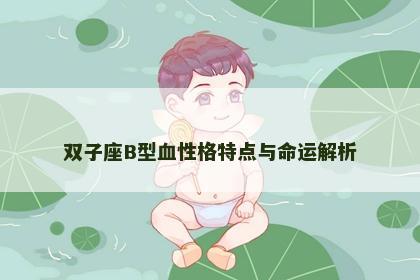 双子座B型血性格特点与命运解析