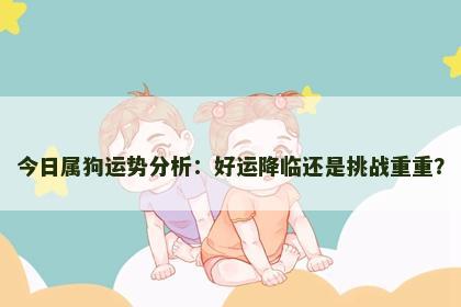 今日属狗运势分析：好运降临还是挑战重重？