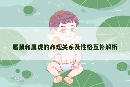 属鼠和属虎的命理关系及性格互补解析