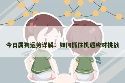 今日属狗运势详解：如何抓住机遇应对挑战