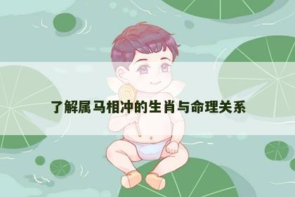 了解属马相冲的生肖与命理关系