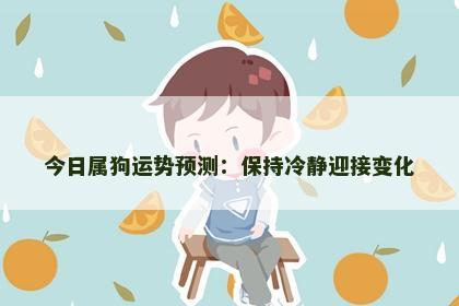 今日属狗运势预测：保持冷静迎接变化