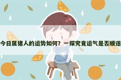 今日属猪人的运势如何？一探究竟运气是否顺遂