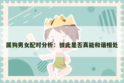 属狗男女配对分析：彼此是否真能和谐相处