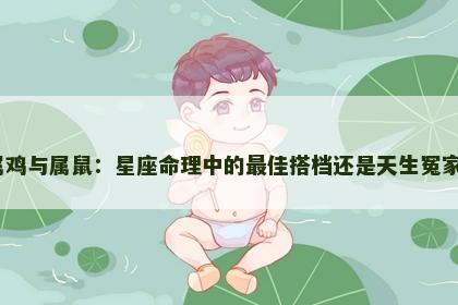 属鸡与属鼠：星座命理中的最佳搭档还是天生冤家？