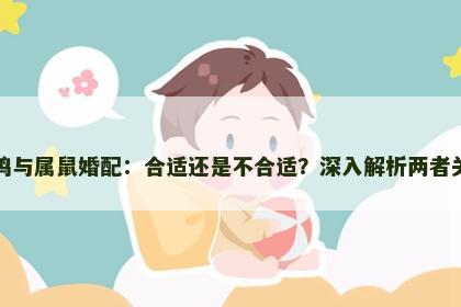 属鸡与属鼠婚配：合适还是不合适？深入解析两者关系