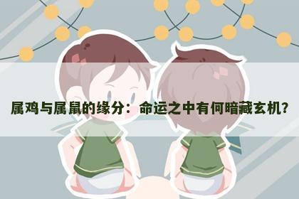 属鸡与属鼠的缘分：命运之中有何暗藏玄机？
