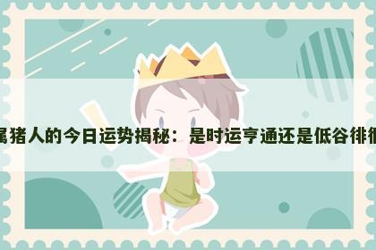 属猪人的今日运势揭秘：是时运亨通还是低谷徘徊