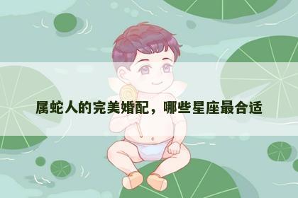 属蛇人的完美婚配，哪些星座最合适