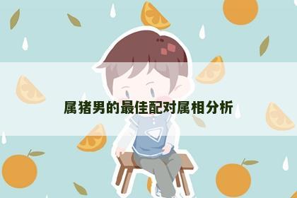 属猪男的最佳配对属相分析